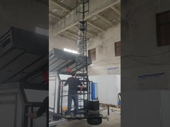 মিনি গরু