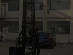 মিনি গরু